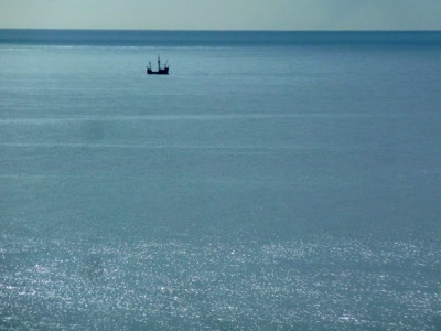 Madeira Coastline