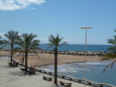 Calheta Beach with palm trees and people enjoying the sun