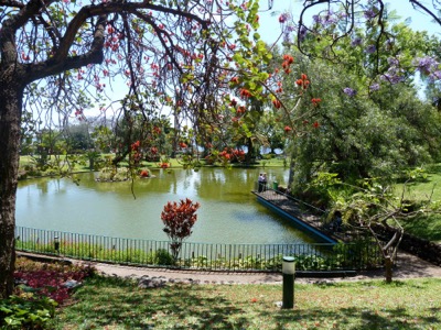 Santa Catarina Park Madeira with Pond