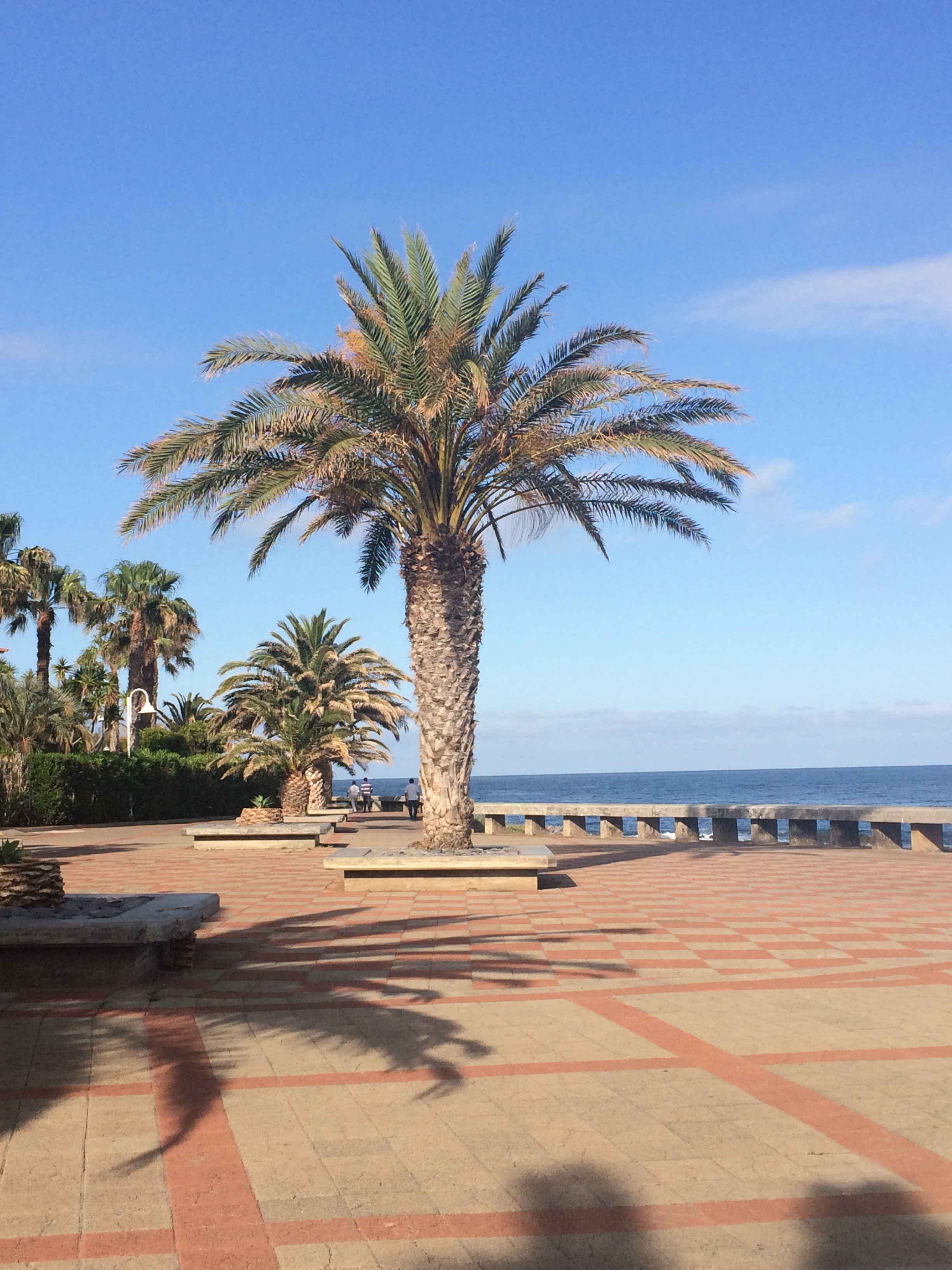 The Boardwalk in Canico De Baixo